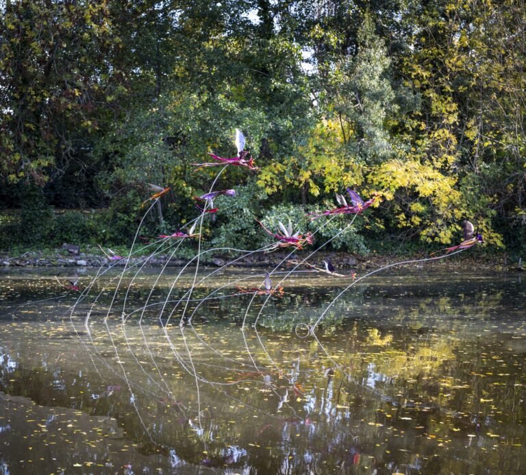 Vladimir Lalic - To Move Is To Bloom - photo by Kevin Percival - 2-min