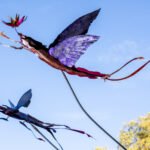 Vladimir Lalic - To Move Is To Bloom - photo by Kevin Percival - 6-min