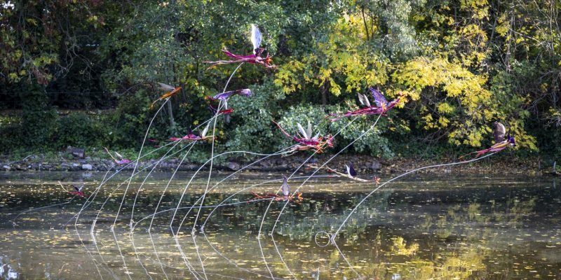 Vladimir Lalic - To Move Is To Bloom - photo by Kevin Percival - 2-min